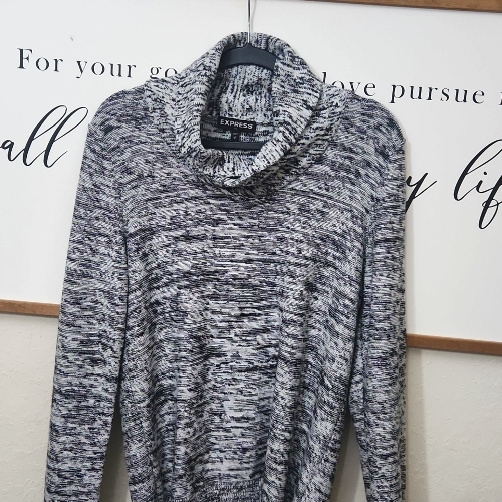 Express 100%Cotton Sweater Size Small Contemporary Collegiate Casual Mens